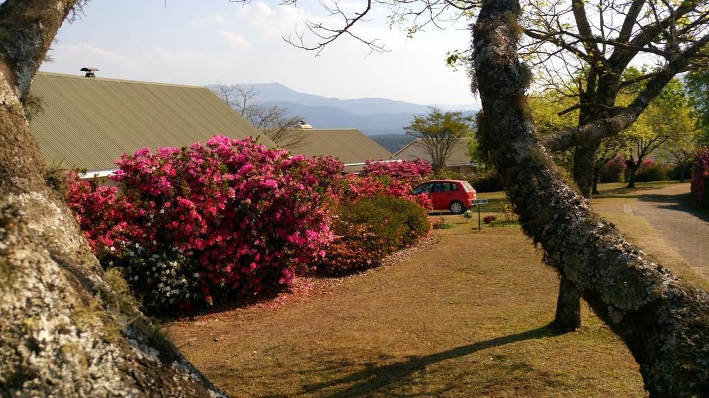 Kloofsig Holiday Cottages 그래스콥 외부 사진
